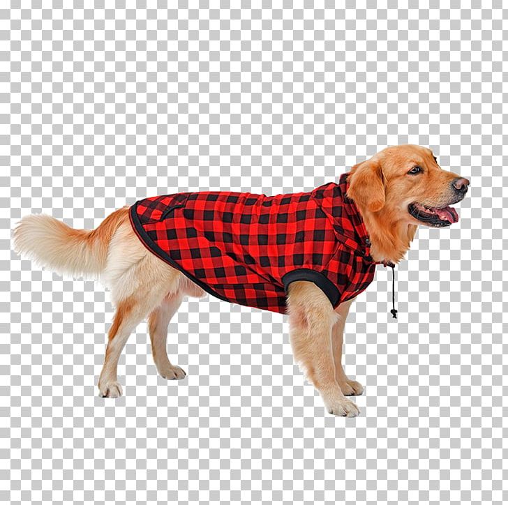 Dog Cat Hoodie T-shirt Clothing PNG, Clipart, Animals, Cat, Chew Toy, Clothing, Coat Free PNG Download