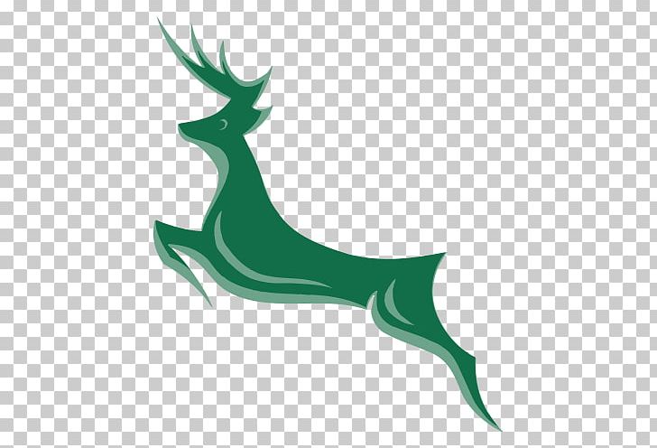 Nottinghamshire County Cricket Club County Championship Trent Bridge Twenty20 Cup PNG, Clipart, Antler, County Championship, Cricket, Cricket Club, Deer Free PNG Download