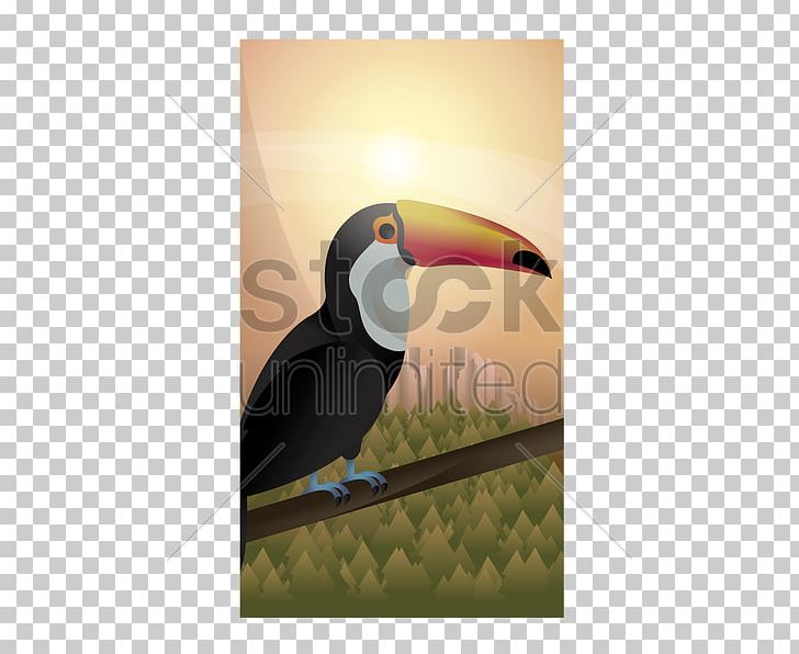 Toucan Beak Stock Photography PNG, Clipart, Abstract, Beak, Bird, Forest, Forest Background Free PNG Download