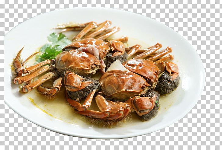 Chinese Mitten Crab Chinese Cuisine Salt-cured Meat Food PNG, Clipart, Animal Source Foods, Bacon, Cartoon Crab, Chinese Cuisine, Chinese Mitten Crab Free PNG Download