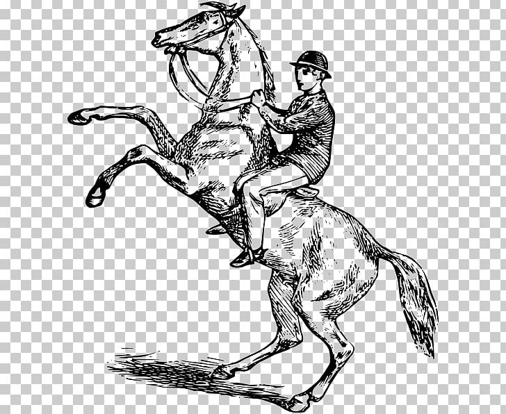 Horse Equestrian Rearing Drawing Bucking PNG, Clipart, Animals, Artwork, Collection, Cowboy, Fictional Character Free PNG Download