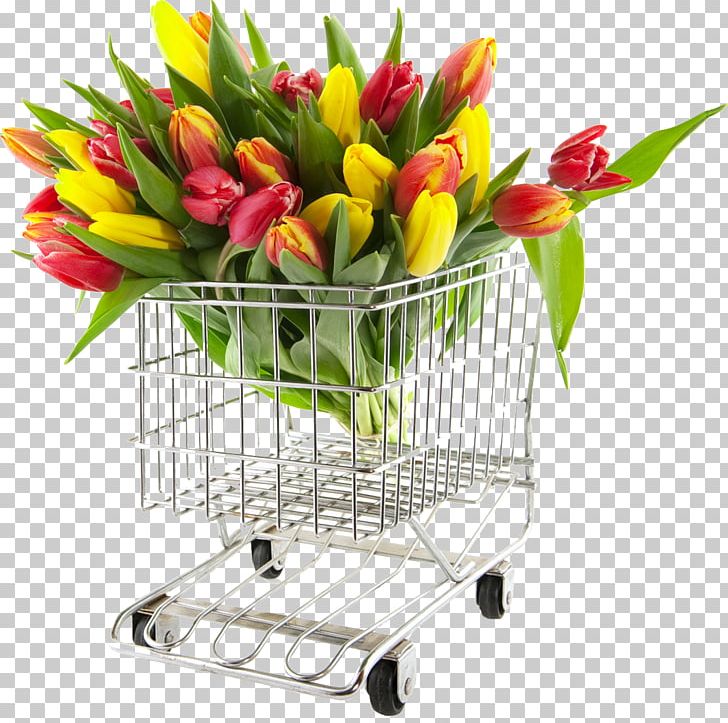 Tulip Flower Bouquet Shopping Nosegay PNG, Clipart, Bouquet, Child, Cut Flowers, Floral Design, Floristry Free PNG Download