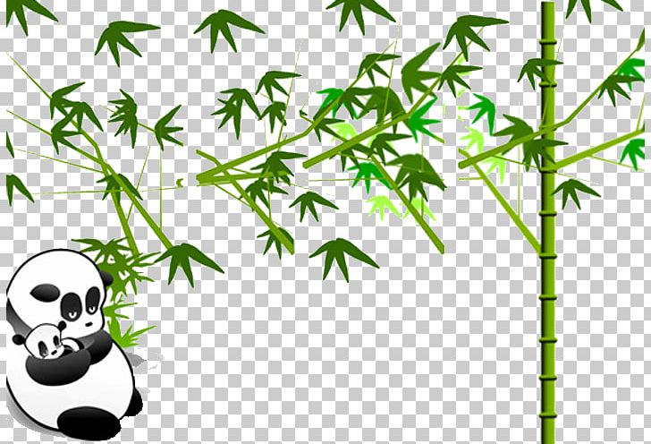 Giant Panda Microsoft PowerPoint Template Bamboo PNG, Clipart, Animals, Bam, Bamboe, Branch, Crystalgraphics Free PNG Download