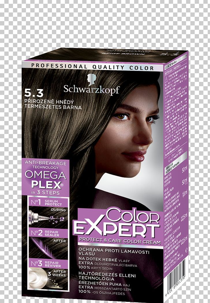 Hair Coloring Black Hair Human Hair Color Schwarzkopf L'Oréal PNG, Clipart,  Free PNG Download