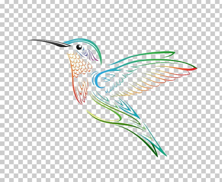 Hummingbird Tattoo Drawing Black And Gray Png Clipart Animals Beak Bird Blackandgray Broad Free Png Download