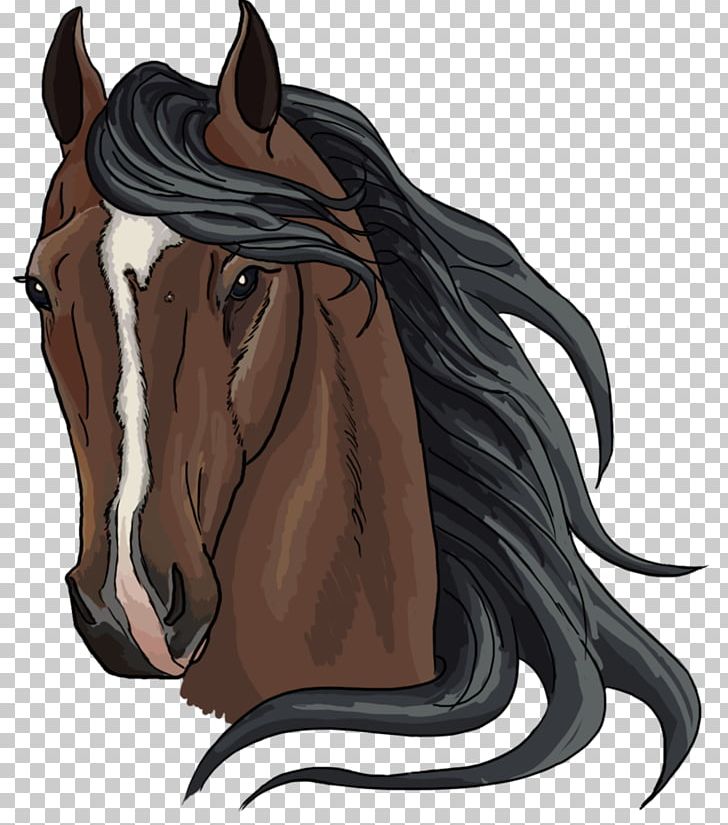 Mustang Mane Rein Pony Stallion PNG, Clipart, Art, Bit, Bridle, Cowboy, Deviantart Free PNG Download