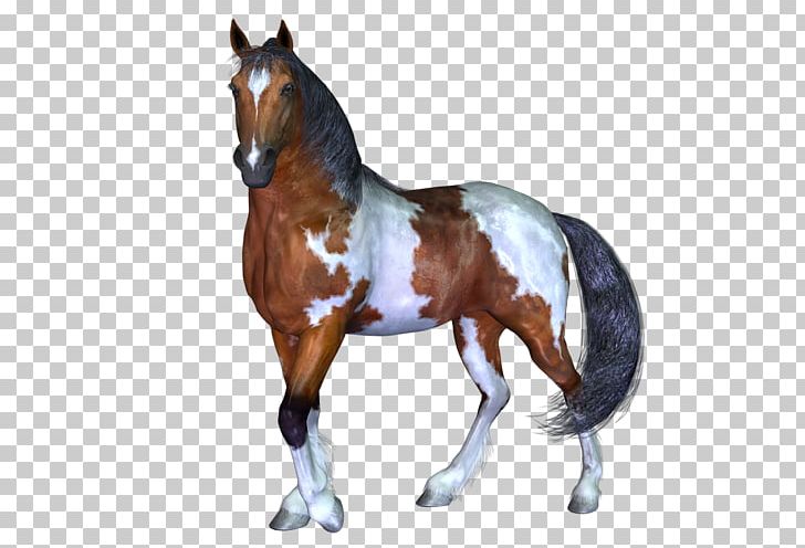 Stallion Mustang Pony Wild Horse PNG, Clipart, Animal, Animal Figure, Bit, Fkk Saunaclub, Halter Free PNG Download