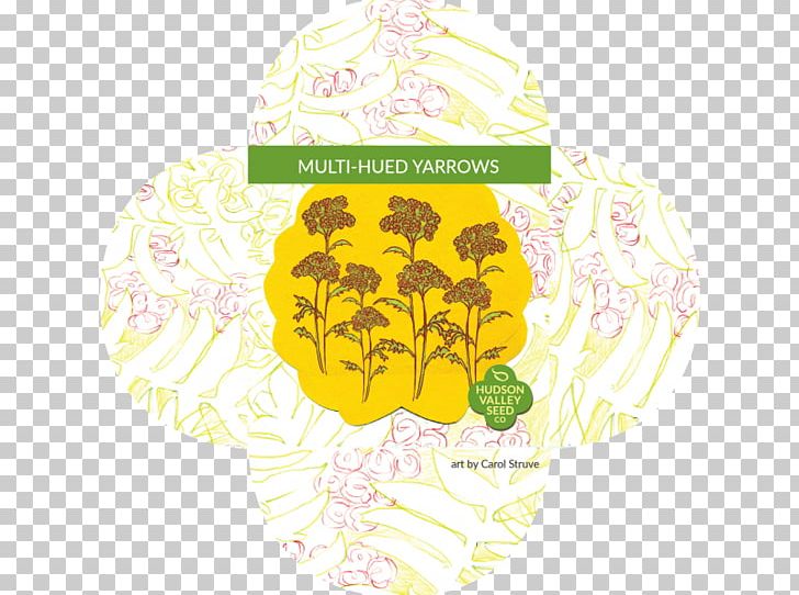 Germination Seed Perennial Plant Yarrow Botany PNG, Clipart, Botany, Floral Design, Flower, Germination, Material Free PNG Download