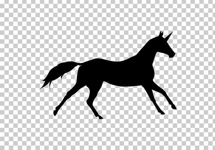 Horse Silhouette PNG, Clipart, Animals, Collection, Colt, English Riding, Equestrian Free PNG Download
