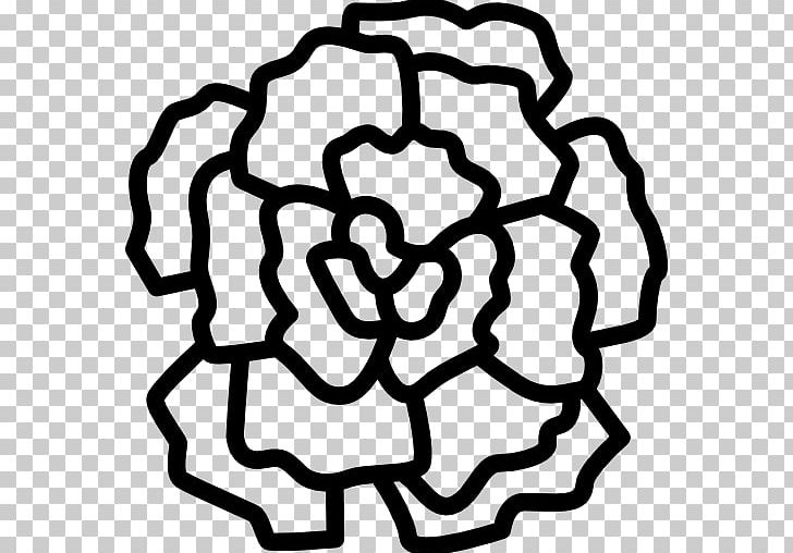 Carnation Flower Computer Icons Encapsulated PostScript PNG, Clipart, Area, Black And White, Carnation, Circle, Computer Icons Free PNG Download