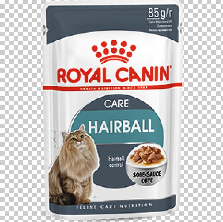 Cat Food Dog Kitten Royal Canin PNG, Clipart, Animals, Cat, Cat Food, Dog, Dog Food Free PNG Download