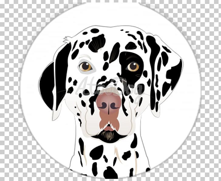 Dalmatian Dog Puppy Dog Breed Non-sporting Group Snout PNG, Clipart, Animals, Animated Cartoon, Breed, Carnivoran, Dalmatian Free PNG Download