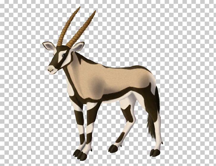 Gemsbok Antelope Gazelle Horn Even-toed Ungulates PNG, Clipart, Animal Figure, Animals, Antelope, Antler, Cattle Free PNG Download