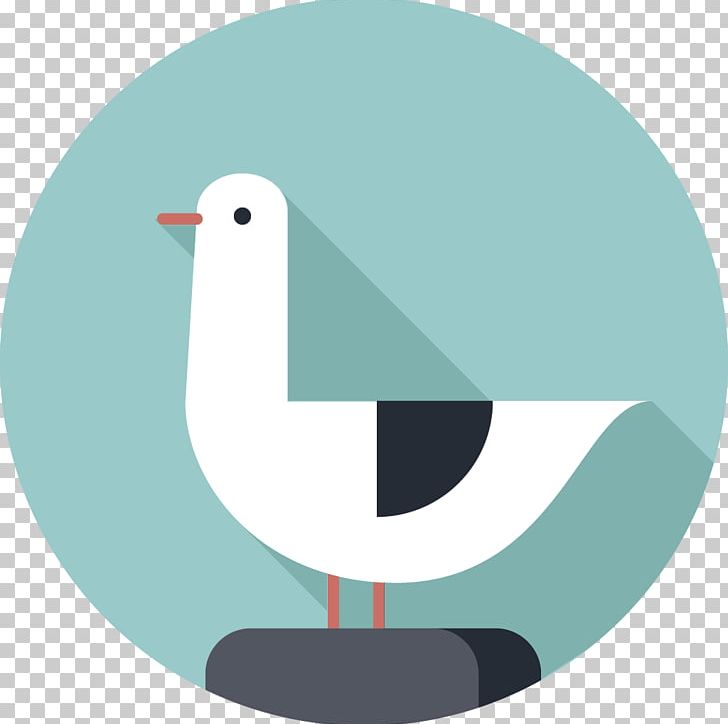 Gulls Computer Icons Bird Sea PNG, Clipart, Animals, Apartment, Beak, Bird, Computer Icons Free PNG Download