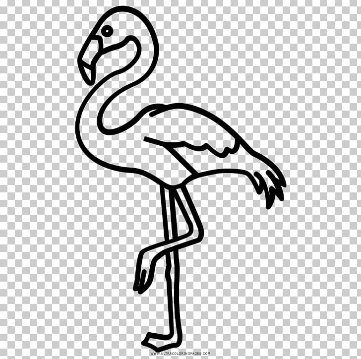 Flamingos Beak Black And White Drawing Coloring Book PNG, Clipart, Animal Figure, Animals, Area, Arm, Artwork Free PNG Download