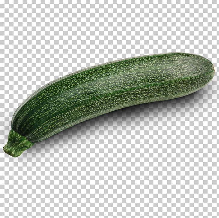 Zucchini Vegetable Wild Bean Eggplant Cucumber PNG, Clipart, Armenian Cucumber, Broccoli, Cauliflower, Cucumber, Cucumber Gourd And Melon Family Free PNG Download
