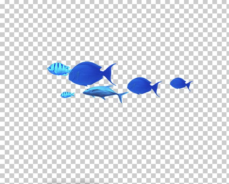Blue Common Carp Fish PNG, Clipart, Animals, Area, Blue, Blue Abstract, Blue Background Free PNG Download