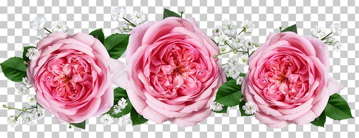 Garden Roses Cabbage Rose Cut Flowers Flower Bouquet PNG, Clipart, Artificial Flower, Cut Flowers, Floral Design, Floribunda, Floristry Free PNG Download