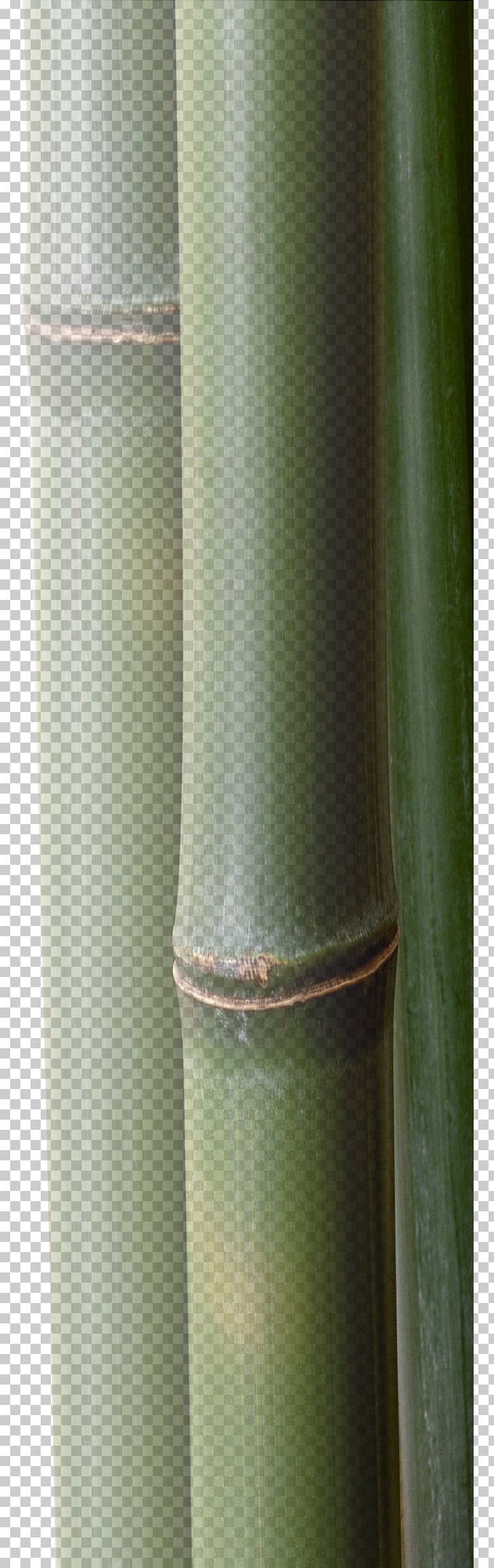 Plant Stem Cylinder PNG, Clipart, Bamboo, Bamboo Border, Bamboo Frame, Bamboo Leaf, Bamboo Leaves Free PNG Download