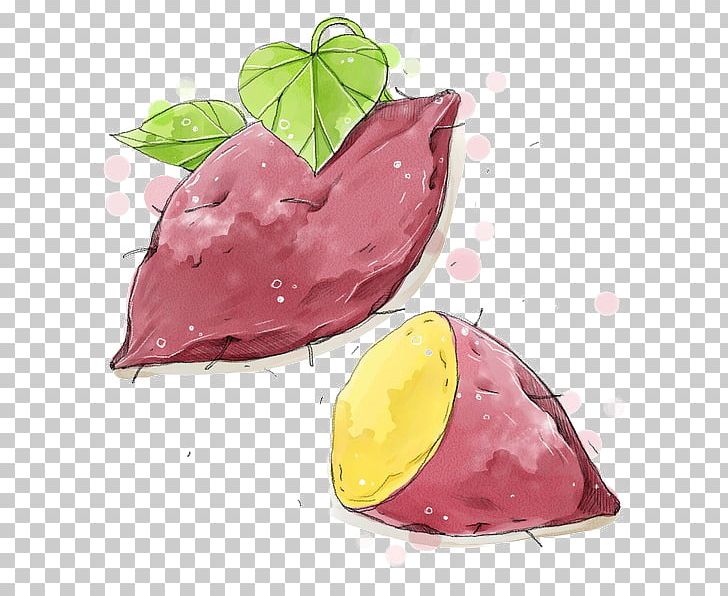 Sikhye Sweet Potato Vegetable Food PNG, Clipart, Drink, Elements, Fruit, Hand Drawing, Hand Drawn Free PNG Download