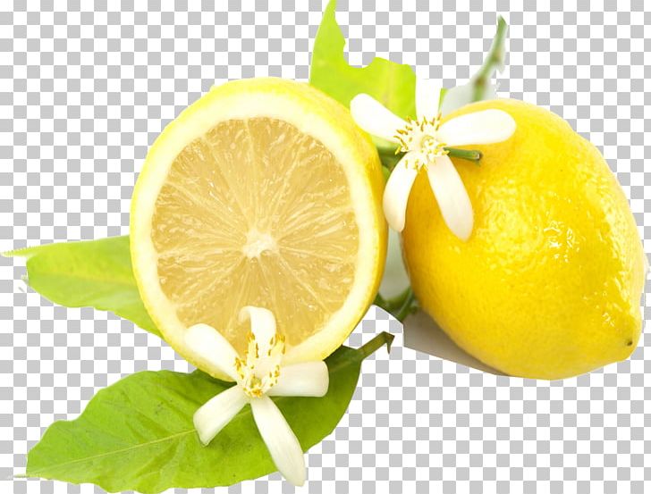 Tea Lemon-lime Drink Gong Cha PNG, Clipart, Bitter Orange, Citric Acid, Citrus, Food, Fresh Salmon Free PNG Download