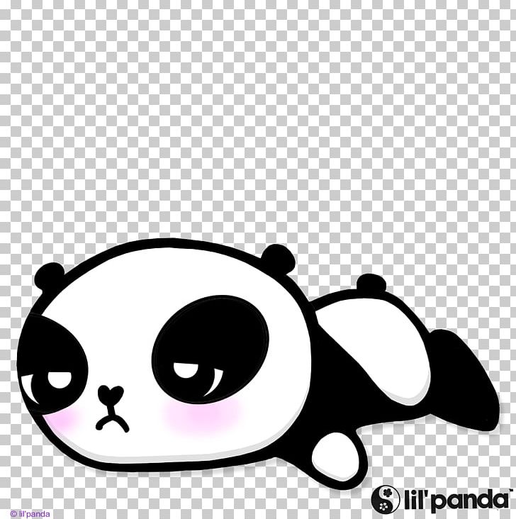 The Giant Panda Red Panda Cuteness PNG, Clipart, Animals, Bear, Black And White, Carnivoran, Cat Free PNG Download