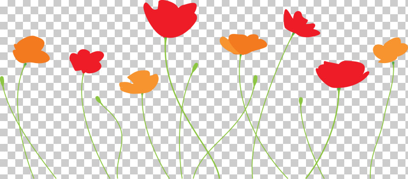 Poppy Flower PNG, Clipart, Coquelicot, Corn Poppy, Flower, Pedicel, Petal Free PNG Download