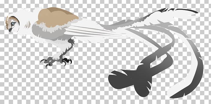 Illustration Drawing Beak /m/02csf PNG, Clipart, Animal, Animal Figure, Art, Artwork, Beak Free PNG Download