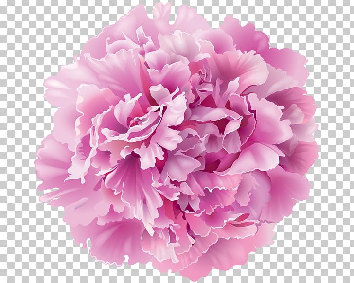Peony Desktop PNG, Clipart, Carnation, Computer Icons, Cut Flowers, Des, Display Resolution Free PNG Download