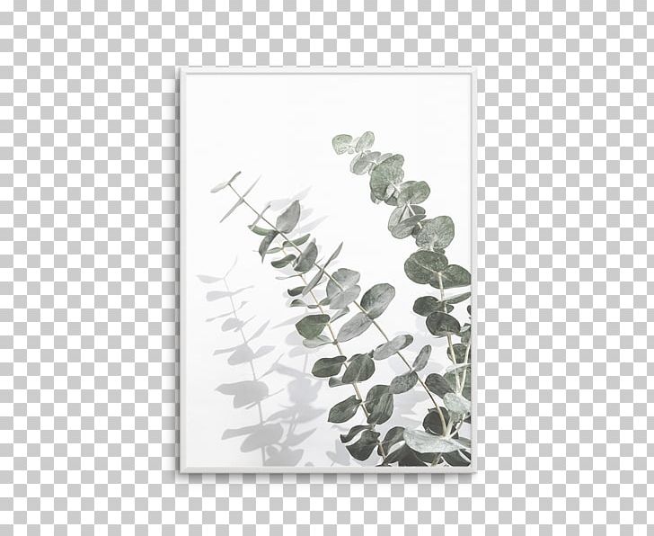 Poster Printmaking Art Eucalyptus Cinerea PNG, Clipart, Arecaceae, Art, Botanical Olive, Eucalyptus Cinerea, Gum Trees Free PNG Download