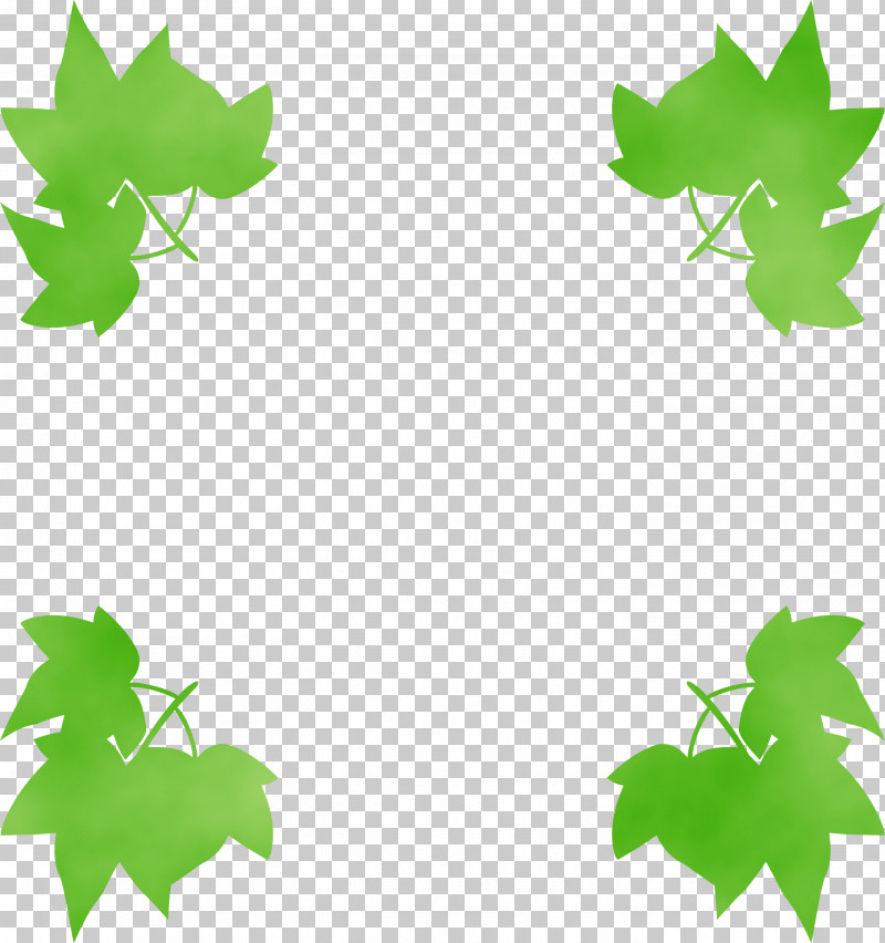 Maple Leaf PNG, Clipart, Black Maple, Frame, Grape Leaves, Green, Ivy Free PNG Download