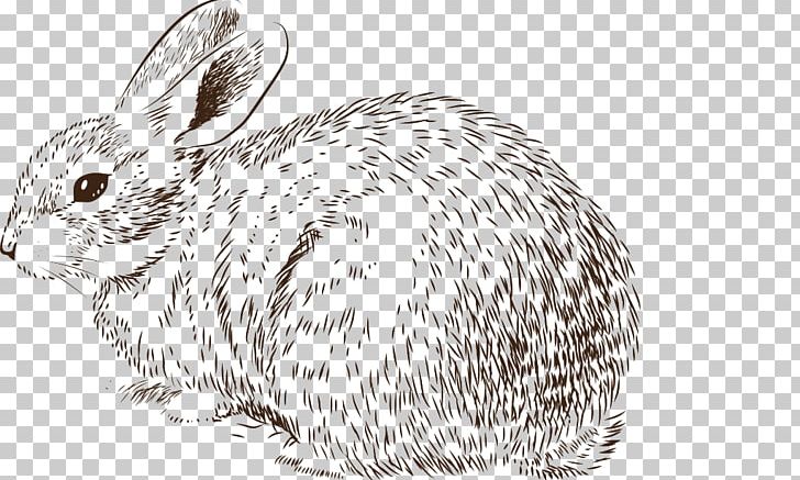Easter Bunny Rabbit Drawing Illustration PNG, Clipart, Animal, Animals, Black And White, Bugs Bunny, Bunnies Free PNG Download