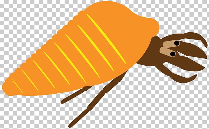 Honey Bee Hermit Crab Book PNG, Clipart,  Free PNG Download