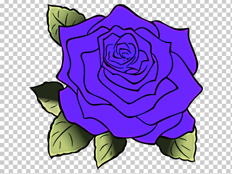 Garden Roses PNG, Clipart, Blue Rose, Cabbage Rose, Cut Flowers, Floral Design, Flower Free PNG Download