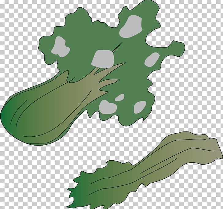 Png Material Leaf Recycling PNG, Clipart, Cabbage, Cabbage Vector, Cartoon, Chinese, Environmental Protection Free PNG Download