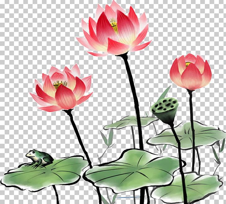 China Nelumbo Nucifera Ink Wash Painting Chinoiserie PNG, Clipart, Aquatic Plant, Art, Chinese Painting, Drawing, Flora Free PNG Download