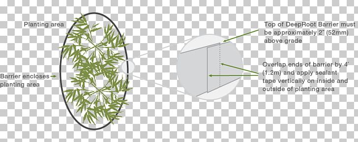 Line Leaf Angle PNG, Clipart, Angle, Area, Leaf, Line, Plant Free PNG Download