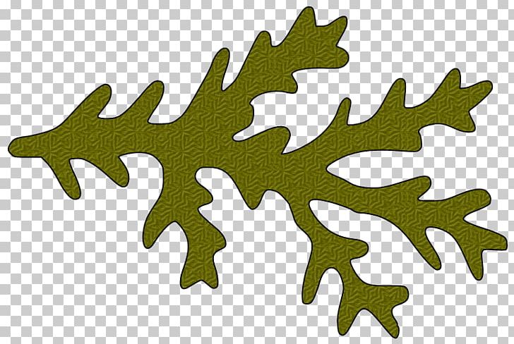 Branch Tree Leaf PNG, Clipart, Autocad Dxf, Branch, Conifer Cone, Cricut, Drawing Free PNG Download