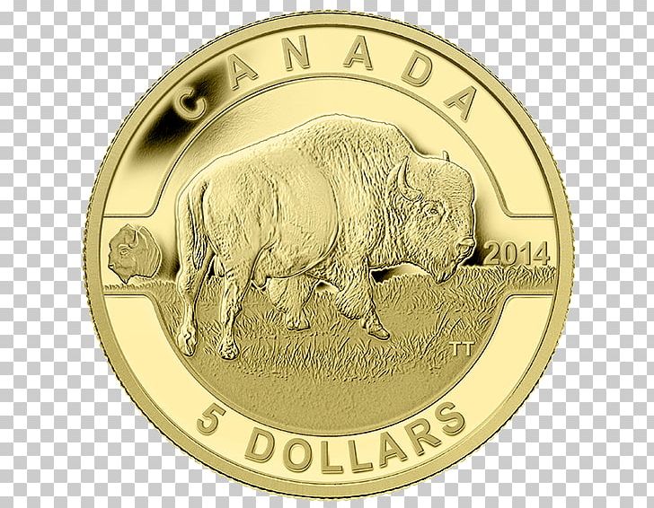 Canada Royal Canadian Mint Gold Coin PNG, Clipart, Bison, Bullion, Bullion Coin, Canada, Canadian Gold Maple Leaf Free PNG Download