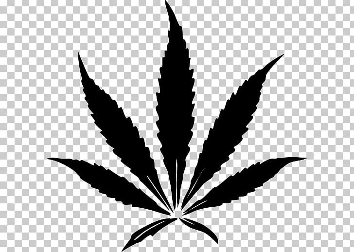 Cannabis Sativa Drawing Leaf Kush PNG, Clipart, Black And White, Cannabis, Cannabis Sativa, Cannabis Smoking, Die Free PNG Download