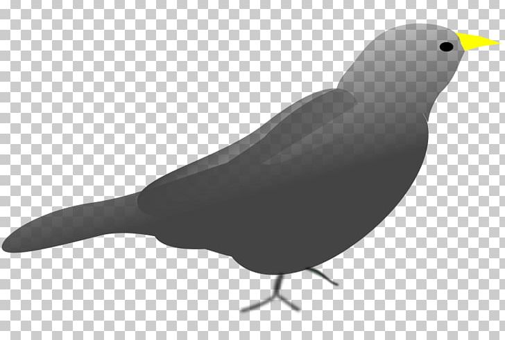 Computer Icons PNG, Clipart, 2017, Animal, Beak, Bird, Blackbird Free PNG Download