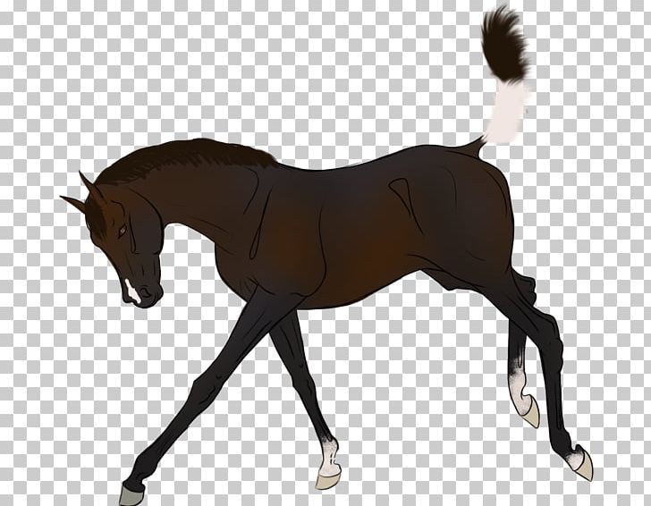 Mustang Foal Pony Rein Stallion PNG, Clipart, Bit, Bridle, Colt, English Riding, Equestrian Sport Free PNG Download