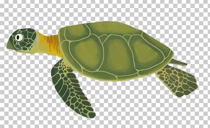 Sea Turtle Reptile Animation PNG, Clipart, Animals, Animated Cartoon, Animation, Cartoon, Desktop Wallpaper Free PNG Download