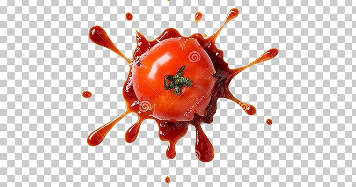 Stock Photography Pizza Tomato Italian Cuisine Ketchup PNG, Clipart, Crush, Food, Food Drinks, Fruit, Garnish Free PNG Download