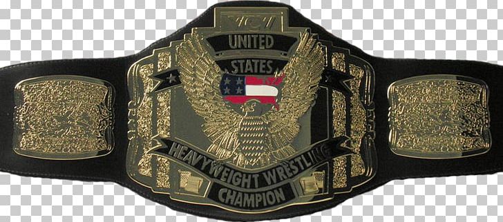 WWE United States Championship WCW World Heavyweight Championship WWE Intercontinental Championship WWE Championship PNG, Clipart, Belt, Professional Wrestling, Wcw World Heavyweight Championship, Wcw World Television Championship, World Championship Wrestling Free PNG Download