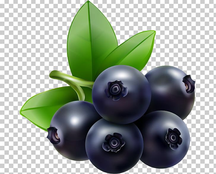 Blueberry Bilberry Food PNG, Clipart, Berry, Bilberry, Blueberries, Blueberry, Clip Art Free PNG Download