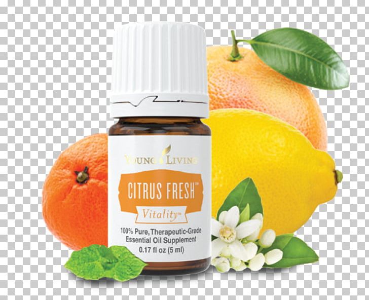 Clementine Tangerine Lemon Essential Oil PNG, Clipart, Citric Acid, Citrus, Clementine, Diet Food, Essential Oil Free PNG Download