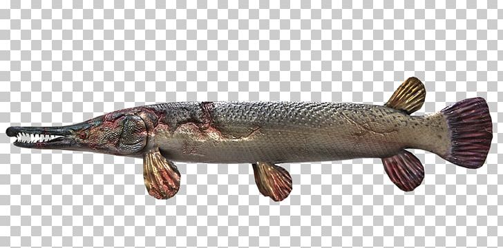 Gar Northern Pike Fishing Planet PNG, Clipart, American Pickerel, Angling, Animal Figure, Animals, Animal Source Foods Free PNG Download