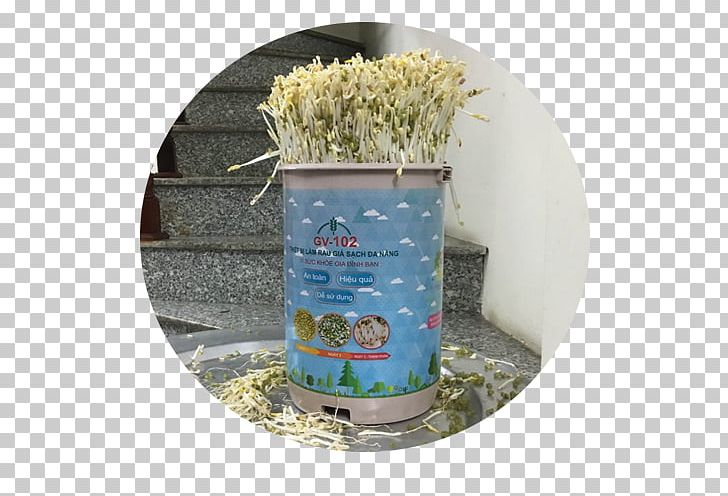 Distribution Bean Sprout Sales Goods PNG, Clipart, Bean Sprout, Commodity, Distribution, Final Good, Flowerpot Free PNG Download