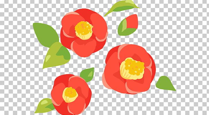 Kyoto Japanese Camellia Photography PNG, Clipart, App, Collage, Copyrightfree, Flower, Flowering Plant Free PNG Download